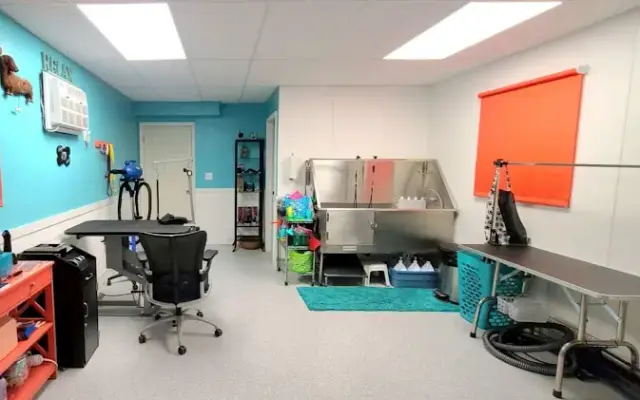 Spaw & Play Grooming Resort in Tampa, FL