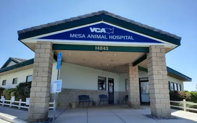 VCA Mesa Animal Hospital in Victorville, CA