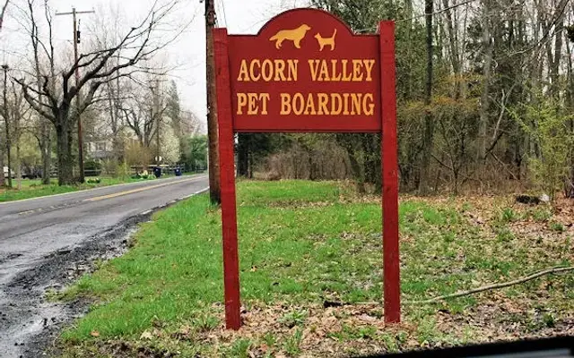 Acorn Valley Pet Boarding in Quakertown, PA
