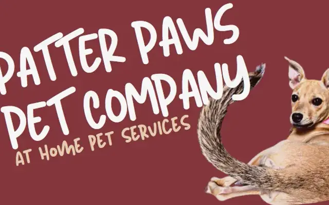 Patter Paws Pet Company in Manchaca, TX