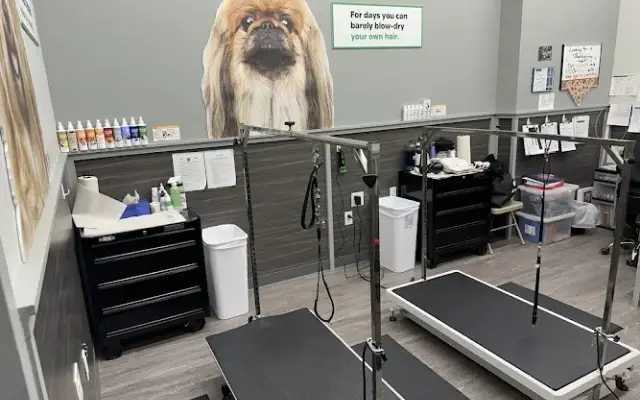 Pet Supplies Plus Easton Grooming in Easton, PA