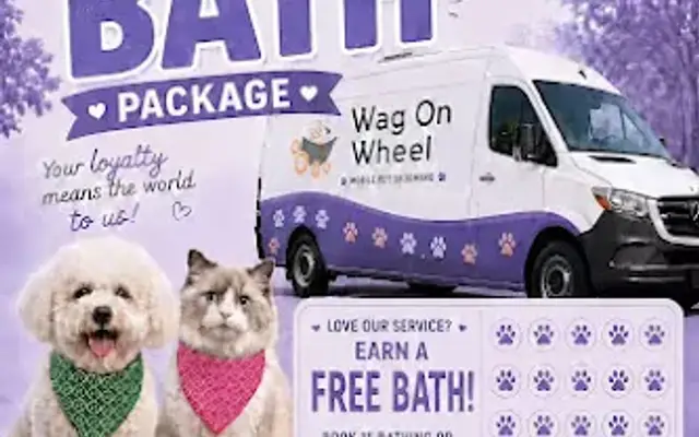 Wag ON Wheel Mobile Pet Grooming in Chino, CA