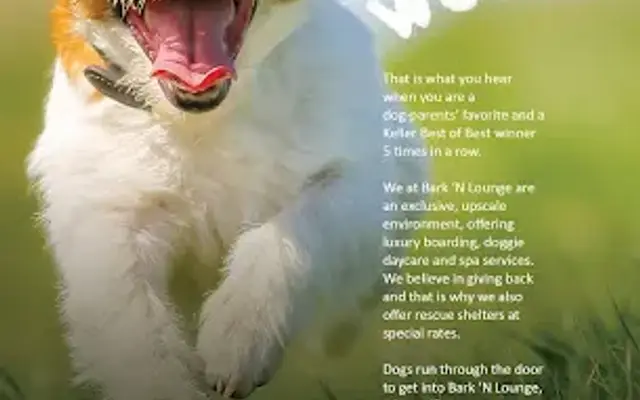 Bark N Lounge Pet Resort in Keller, TX
