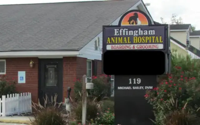 Effingham Animal Hospital in Rincon, GA