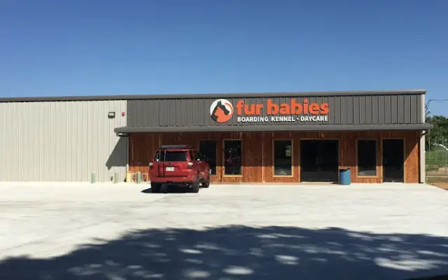 Fur Babies in Longview, TX