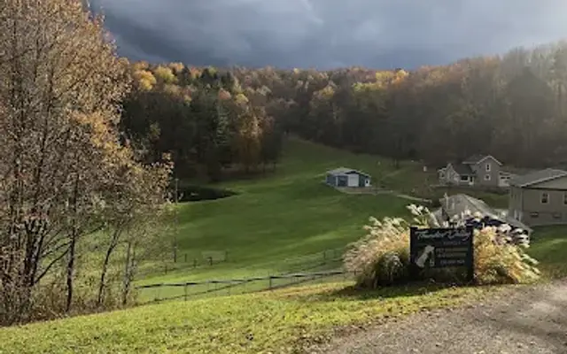 Thunder Valley Pet Boarding, LLC in Minerva, OH