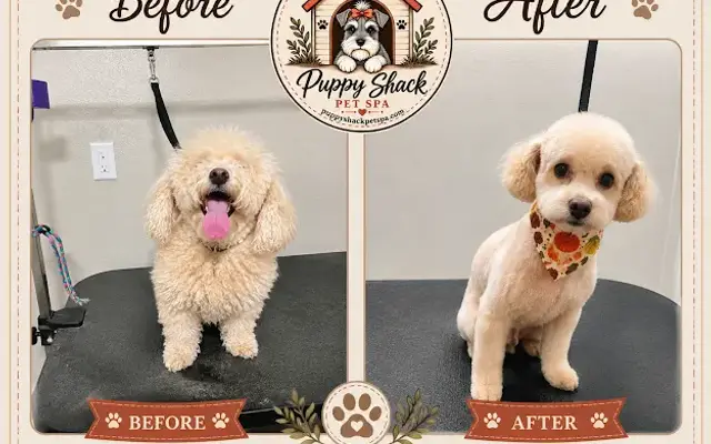 Puppy Shack Pet Spa in Pine Bluff, AR