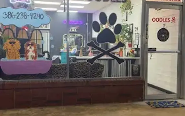 Oodles in Port Orange, FL