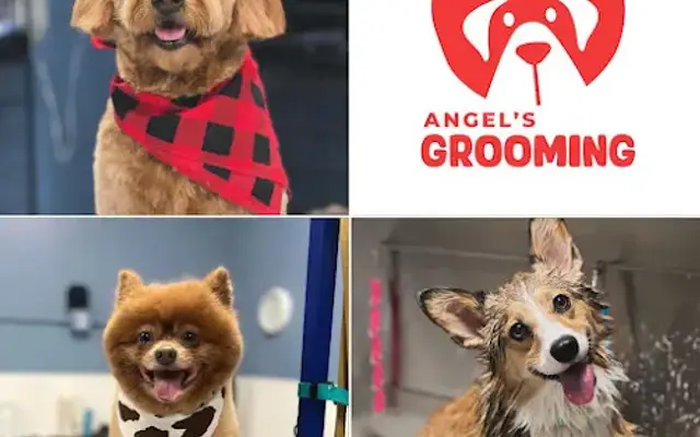 Angel's Groom Room in Hudson, WI