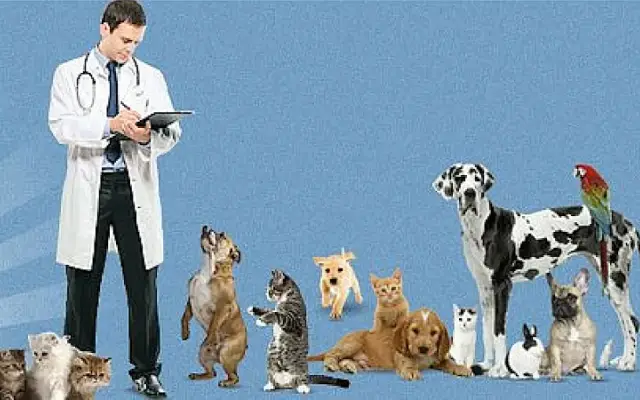 Ehrlich Animal Hospital & Arthritis Therapy Center in Tampa, FL