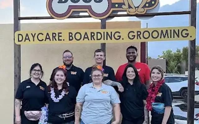 Paradise Dogs 24/7 in Phoenix, AZ