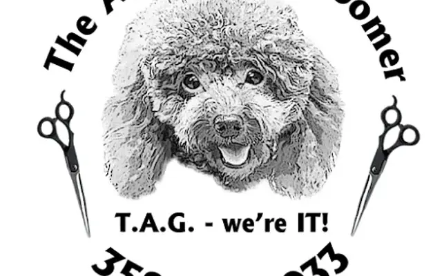 The Affordable Groomer in Brooksville, FL