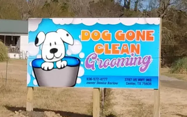 Dog Gone Clean in Center, TX