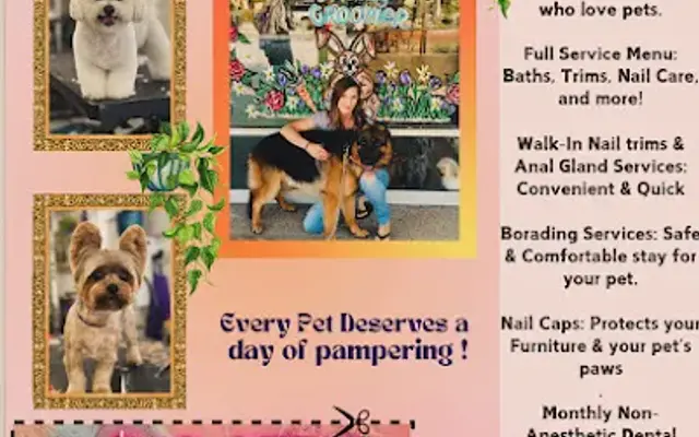 Your Friendly Groomer in Palm Desert, CA