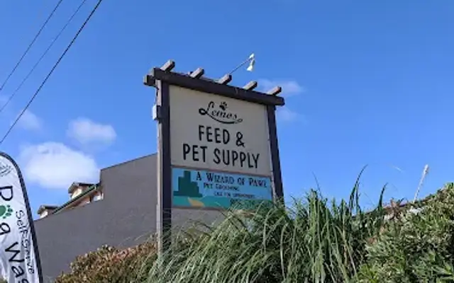 A Wizard Of Pawz in Los Osos, CA