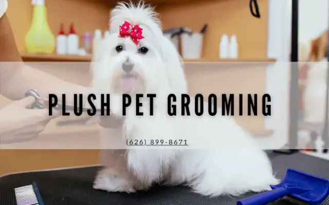 Plush Pet Grooming in San Gabriel, CA