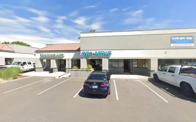 Professional Dog & Cat Grooming in Lakewood, CO