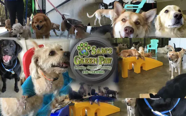 Sam's Green Paw in Studio City, CA