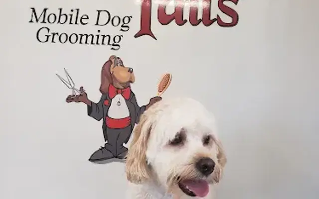 Upscale Tails Mobile Dog Grooming in Covington, LA