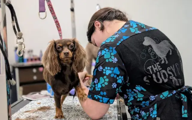 The Sudsy Pup Paw Spa in Sarasota, FL