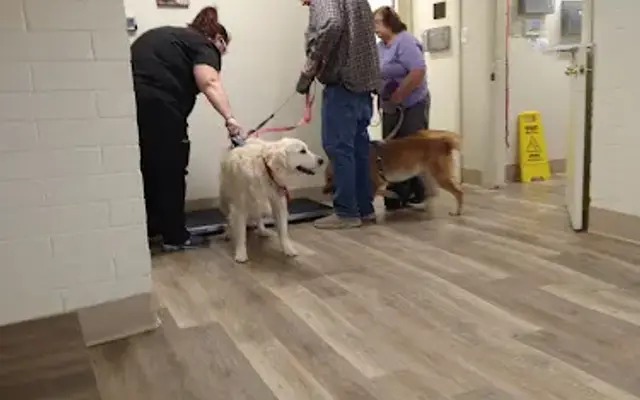Sun Valley Hope Animal Hospital in Glendale, AZ
