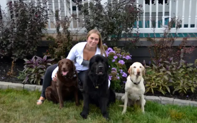 PawKeepers Dog DayCare in Duncansville, PA