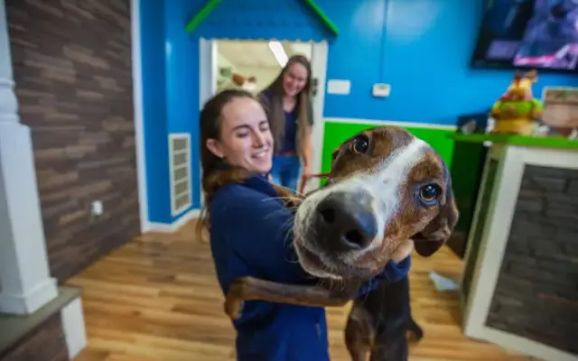 Hounds Town - Westchase in Tampa, FL