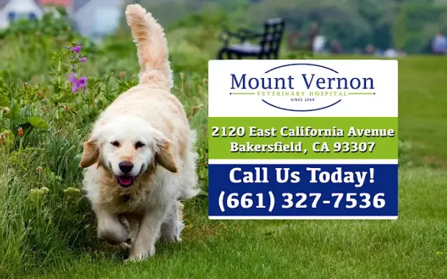 Mt. Vernon Veterinary Hospital in Bakersfield, CA