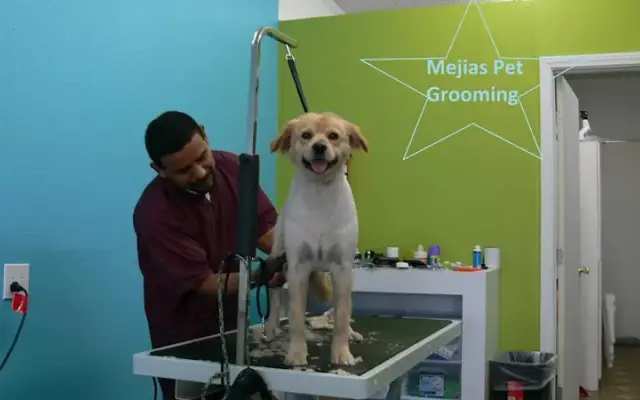 Mejias Pet Grooming in La Habra, CA