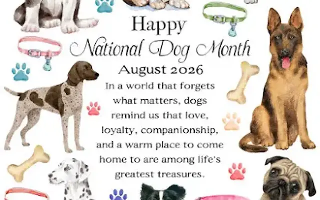 Bark n Brush in Dallas, GA