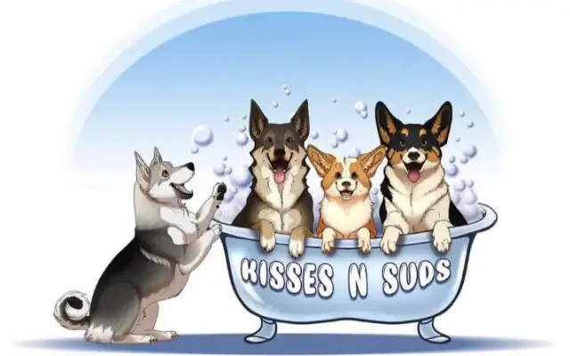 Kisses N Suds in Hanover, MA