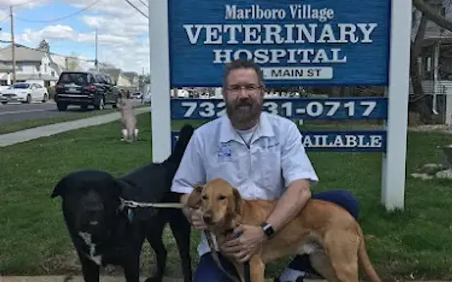 Marlboro Village Veterinary Hospital of Marlboro and Aberdeen, "The Bark Park" Daycare in Marlboro Township, NJ