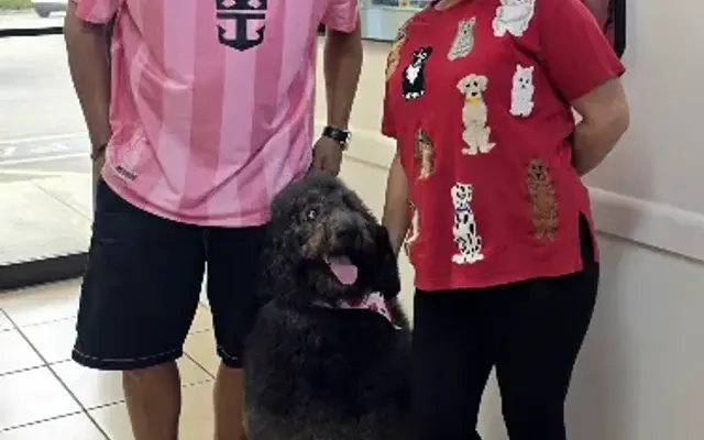 Paws & Bubbles Dog Grooming in Homestead, FL