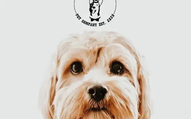 Fetching Pet Company LLC in Troy, IL