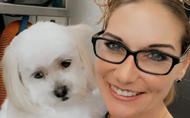Soapy Claws & Paws Mobile Pet Grooming in Jacksonville, FL