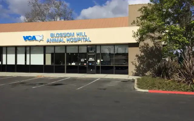 VCA Blossom Hill Animal Hospital in San Jose, CA