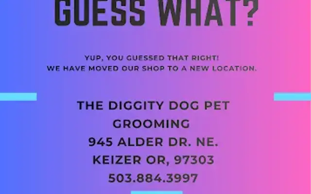 The Diggity Dog Pet Grooming LLC in Keizer, OR