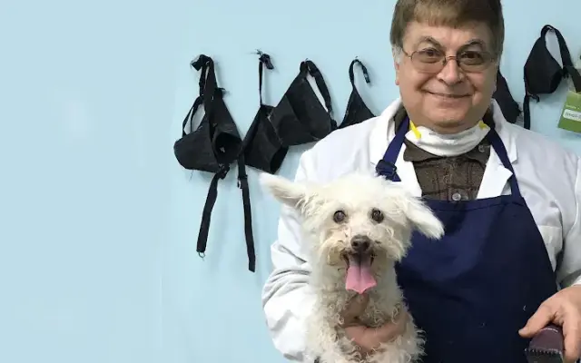 Happy Paws Salon in Foxborough, MA