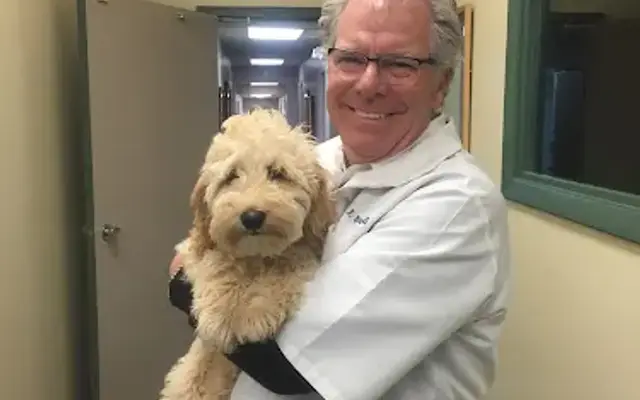 PetCare Animal Hospital in Loveland, OH