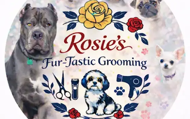 Rosie's Fur-Tastic Grooming in East Chicago, IN