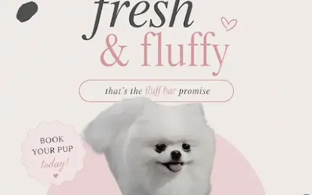 Fluff Bar - The Biltmore Edition in Phoenix, AZ