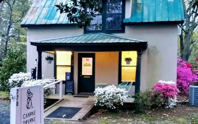 Canine Divine in Southern Pines, NC