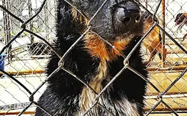 Sunny Acres Boarding Kennel in Bartlesville, OK