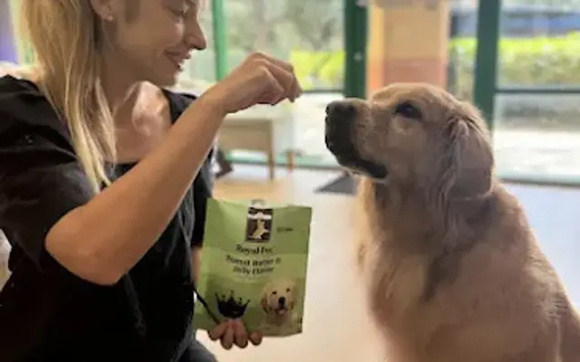 Royal Pet Bakery & Grooming in Delray Beach, FL