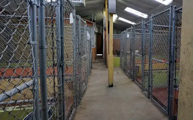 Arcade Creek Kennels in Sacramento, CA
