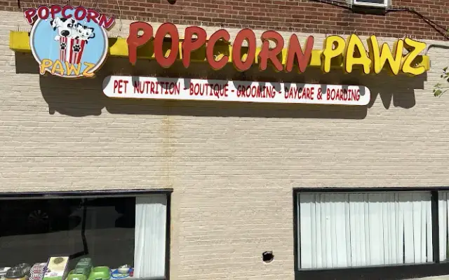 Riverdale Grooming - Popcorn Pawz in Bronx, NY