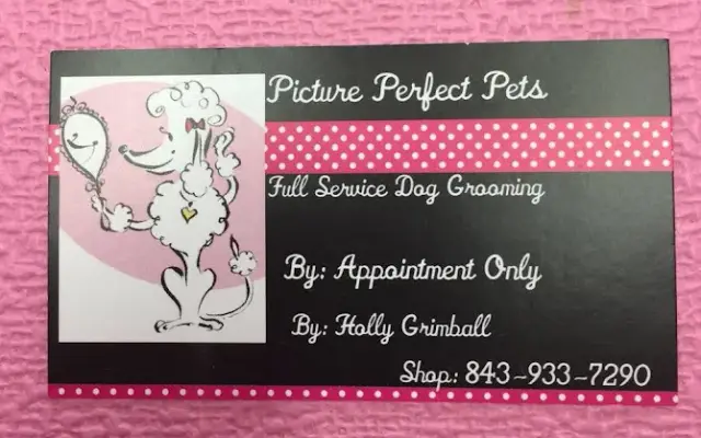 Picture Perfect Pets in Hemingway, SC