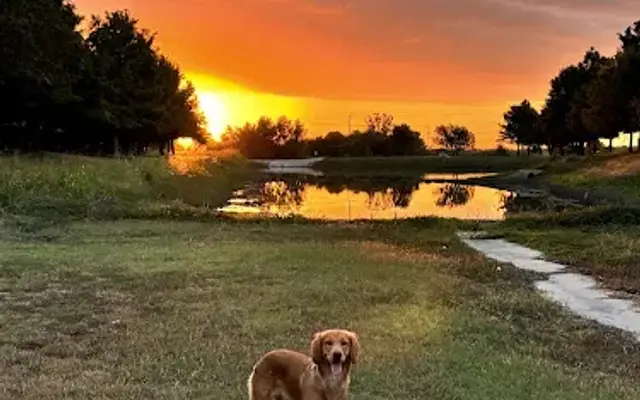 Adventure Days Dog Ranch in Cedar Creek, TX