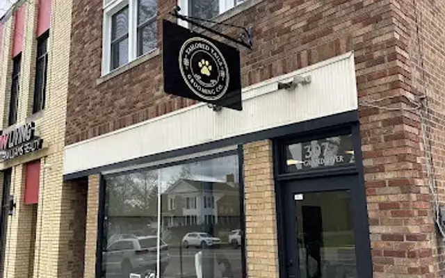 Tailored Tails Grooming Co. in Howell, MI