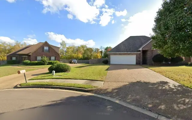Dog/Cat walking or dog/ cat care in Madison, MS
